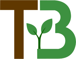 Tree Building